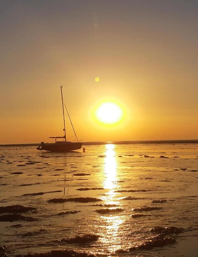 Paesens Waddenfestijnヴィラ エクステリア 写真