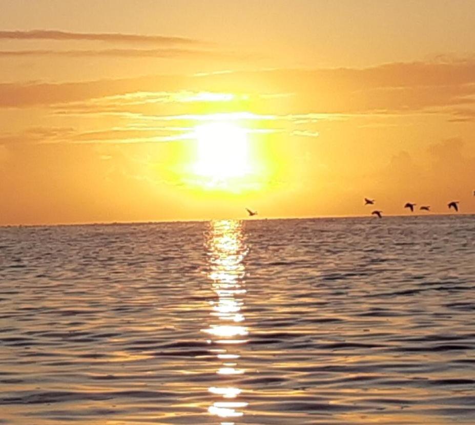 Paesens Waddenfestijnヴィラ エクステリア 写真